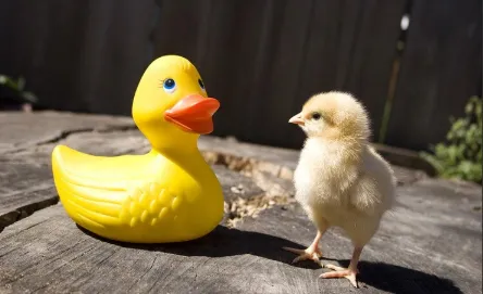 Corporate Reputation in 2025: From Image to Authenticity